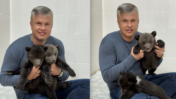Виктор Жиленко с медвежатами,  родившимися зимой в зоопарке Бахчисарайского парка миниатюр