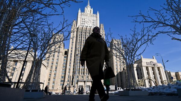 Граждане КНР чаще других получают электронные визы в Россию, заявили в МИД