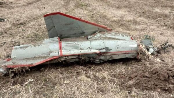 Уничтоженный беспилотник самолётного типа Стриж в Брянской области, запущенный ВСУ