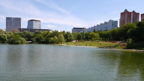 Парк Удальцовские пруды в Москве