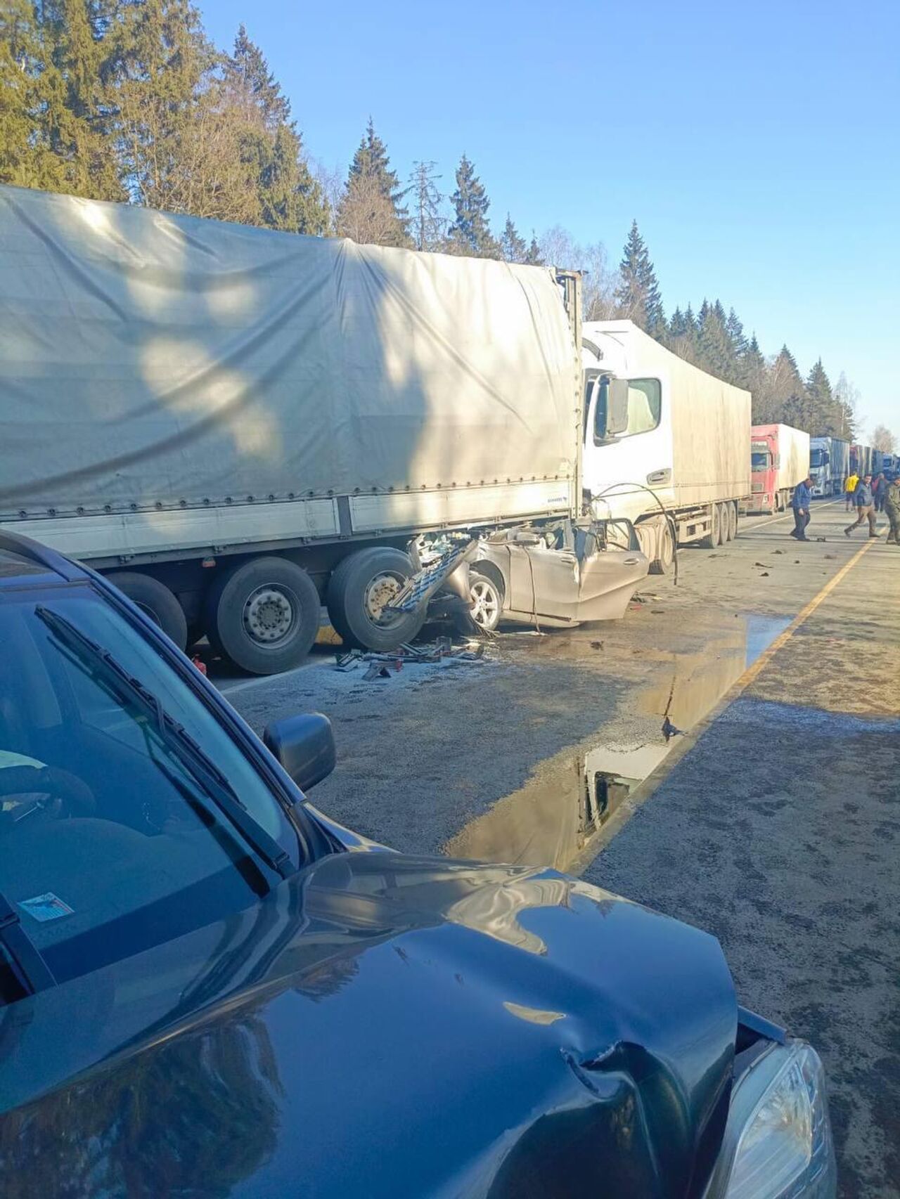 В Калужской области в массовом ДТП погибли два человека - РИА Новости,  22.03.2024