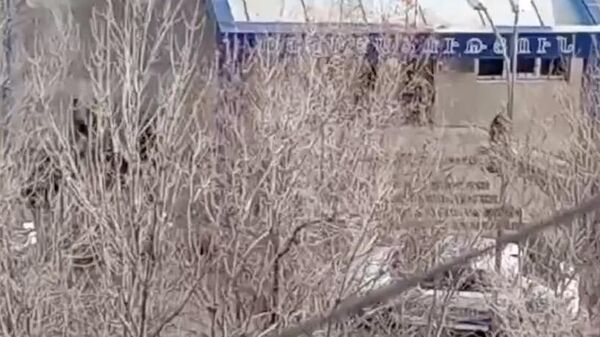 У отделения полиции в ереванском районе Нор-Норк взорвана граната