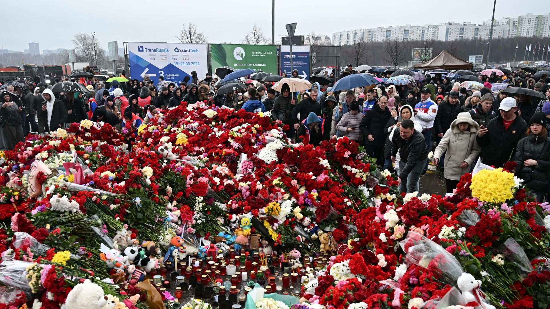 Люди возлагают цветы к стихийному мемориалу возле подмосковного Крокус Сити Холла в память о жертвах теракта - РИА Новости, 1920, 25.03.2024