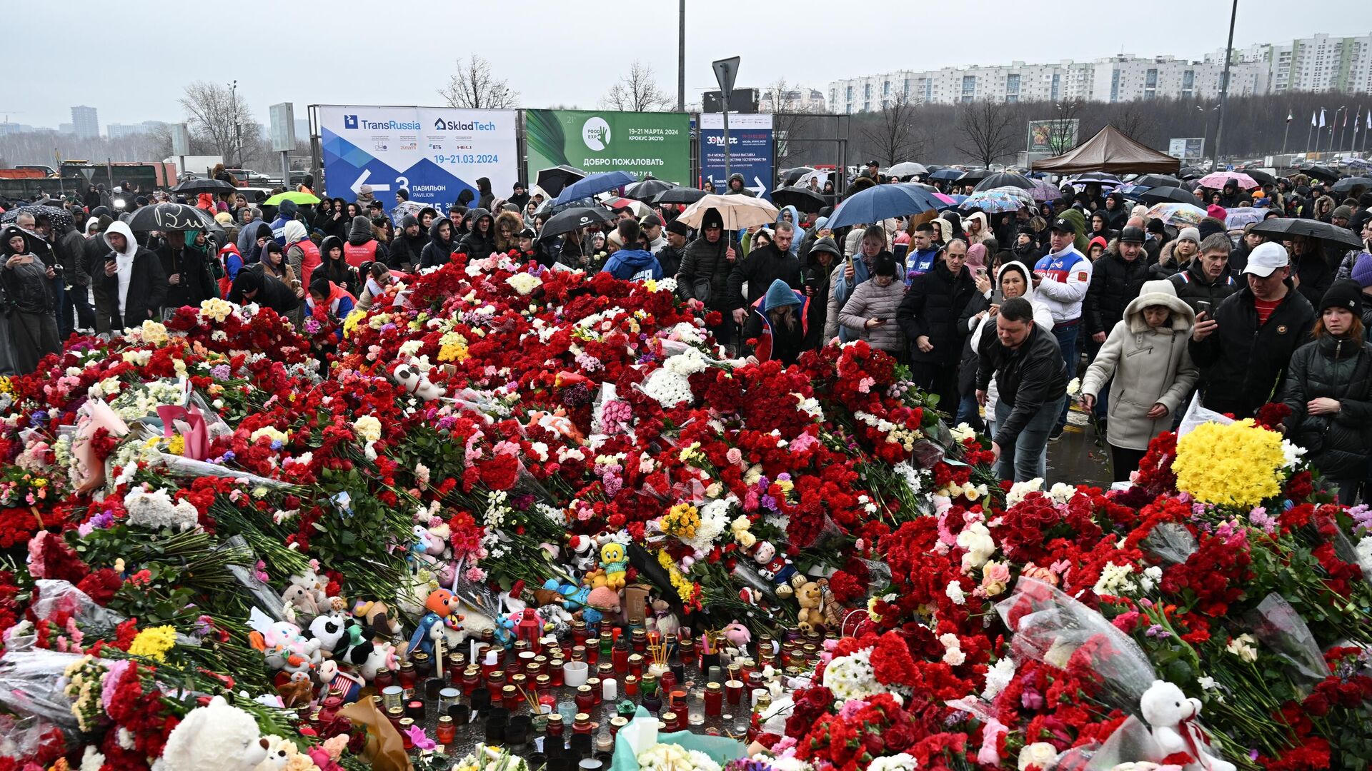 Люди возлагают цветы к стихийному мемориалу возле подмосковного Крокус Сити Холла в память о жертвах теракта - РИА Новости, 1920, 26.03.2024