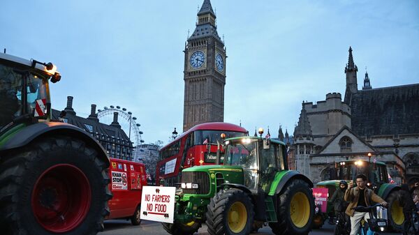 Акция протеста фермеров в Лондоне. 25 марта 2024