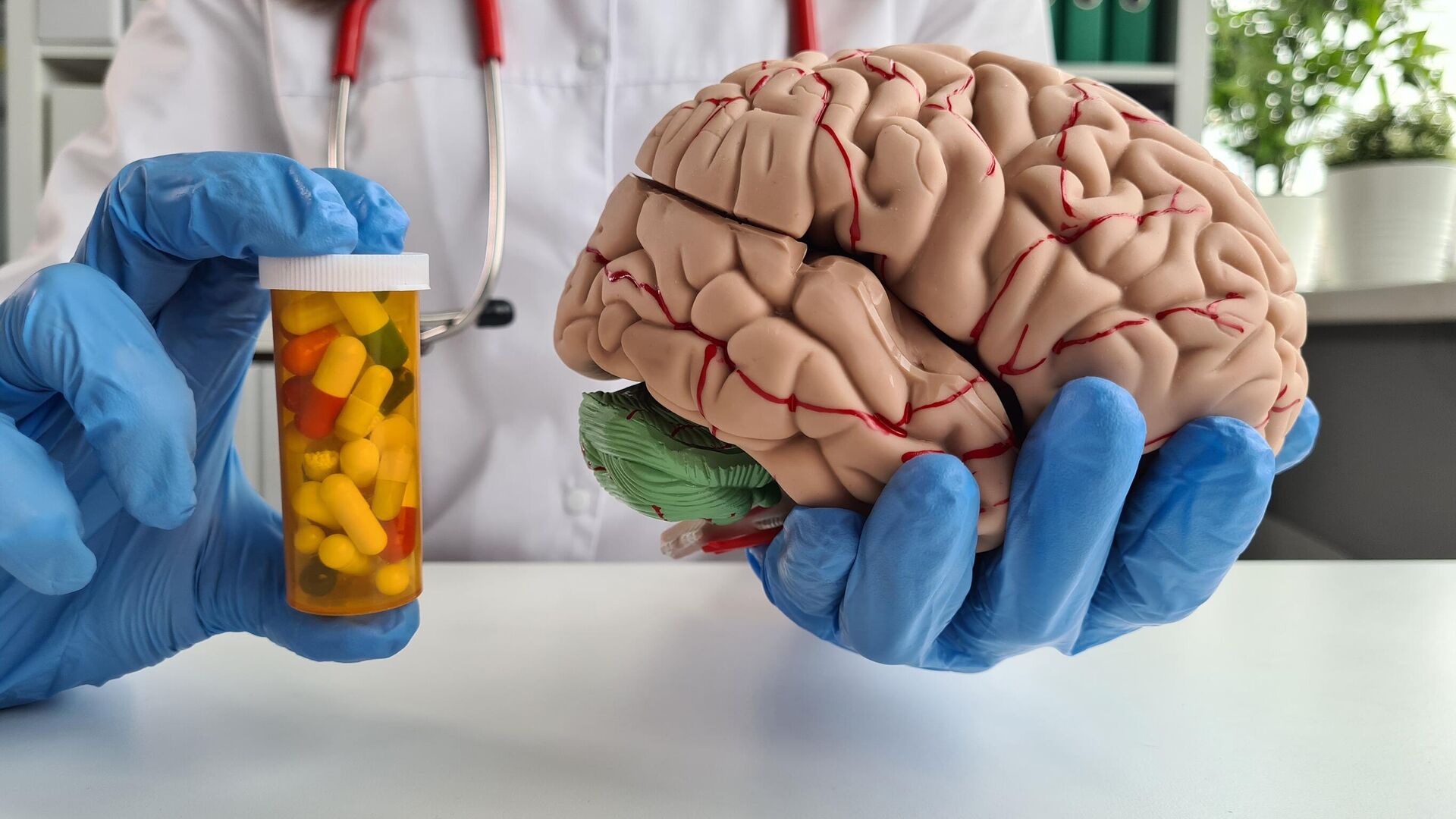 Врач держит модель мозга и таблетки плацебо в руках - РИА Новости, 1920, 27.03.2024