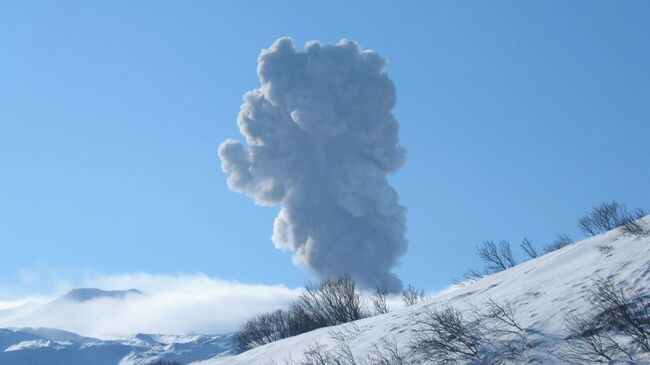 Пепловый выброс на вулкане Эбеко