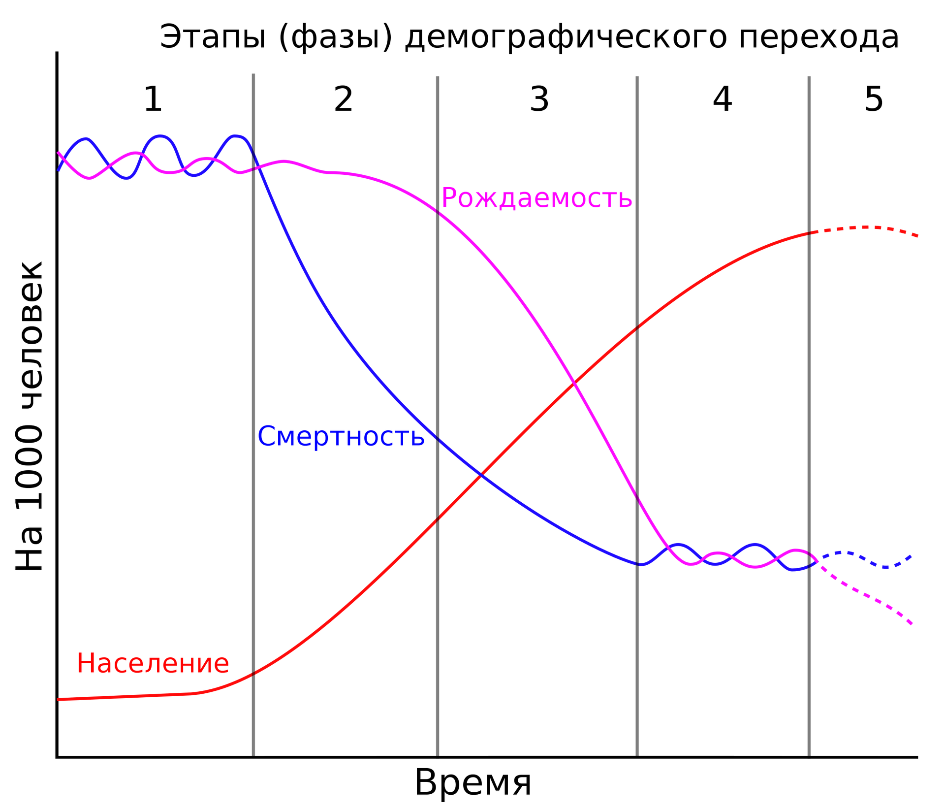 Схема демографического перехода, включая гипотетическую пятую фазу - РИА Новости, 1920, 28.03.2024