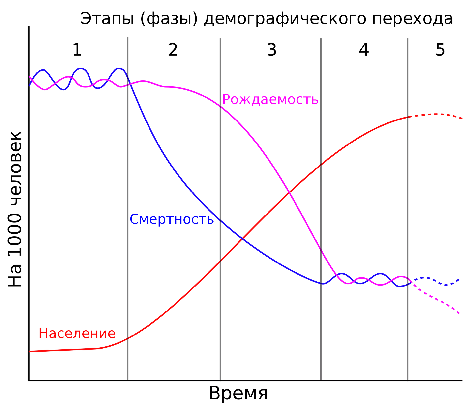 CC BY-SA 3.0 / en:User:Charmed88 / The Demographic Transition Model, including stage 5