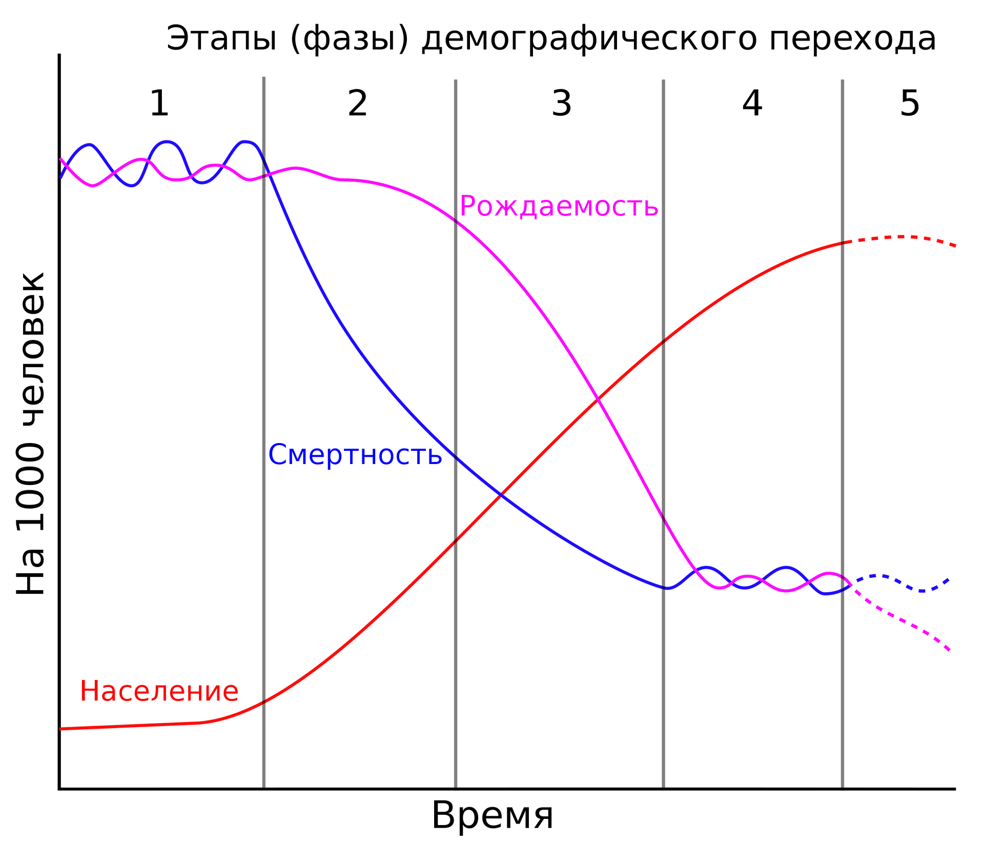 Схема демографического перехода, включая гипотетическую пятую фазу - РИА Новости, 1920, 28.03.2024