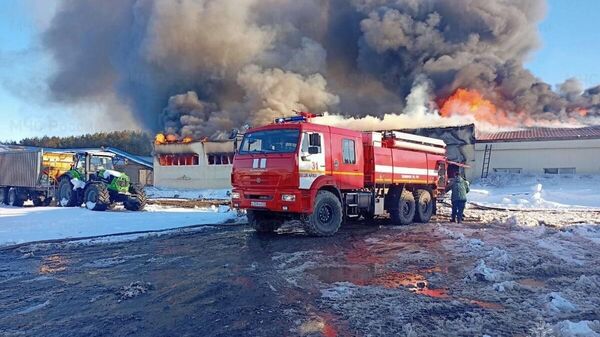 Место пожара на складе птицефабрики Вешкаймская в Ульяновской области