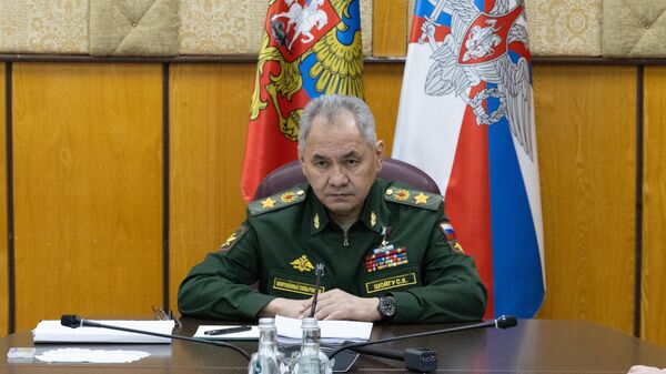Министр обороны РФ Сергей Шойгу проводит совещание. Архивное фото