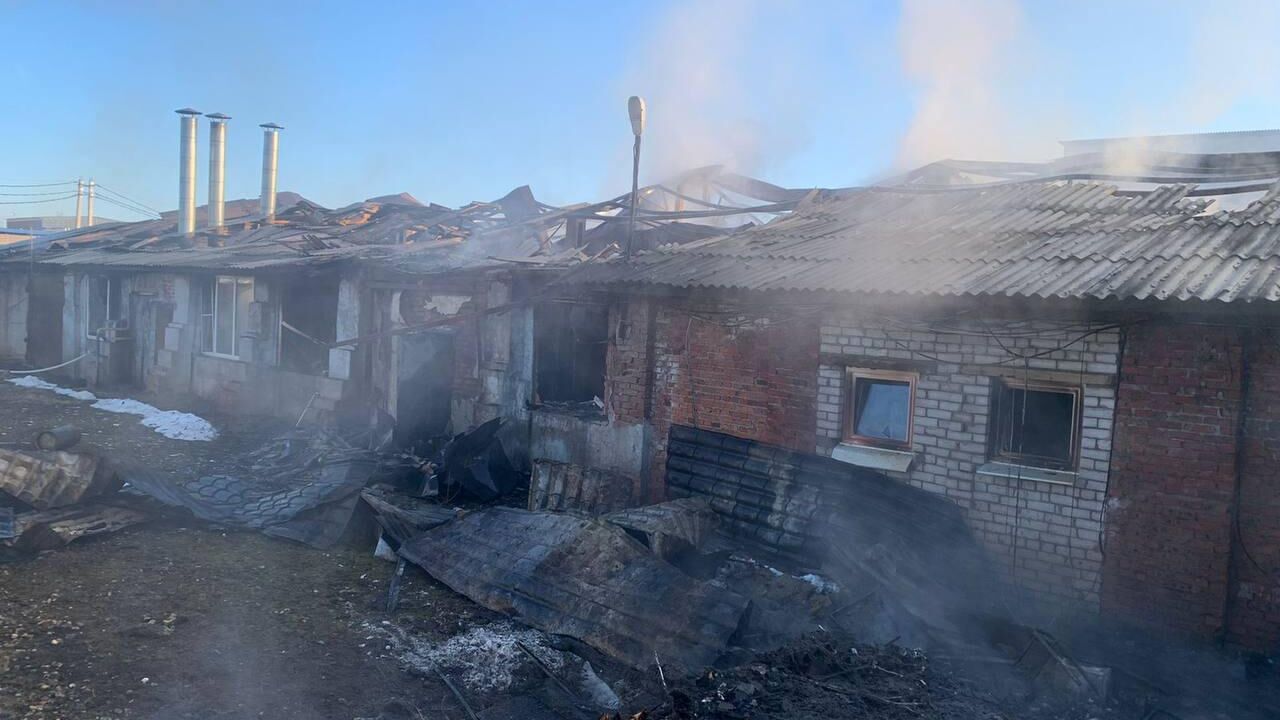 Последствия пожара в рыбном цеху в городском округе Химки - РИА Новости, 1920, 31.03.2024