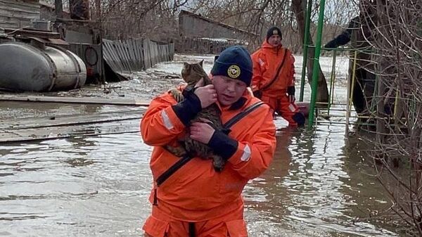 Последствия наводнения в Алтайском крае