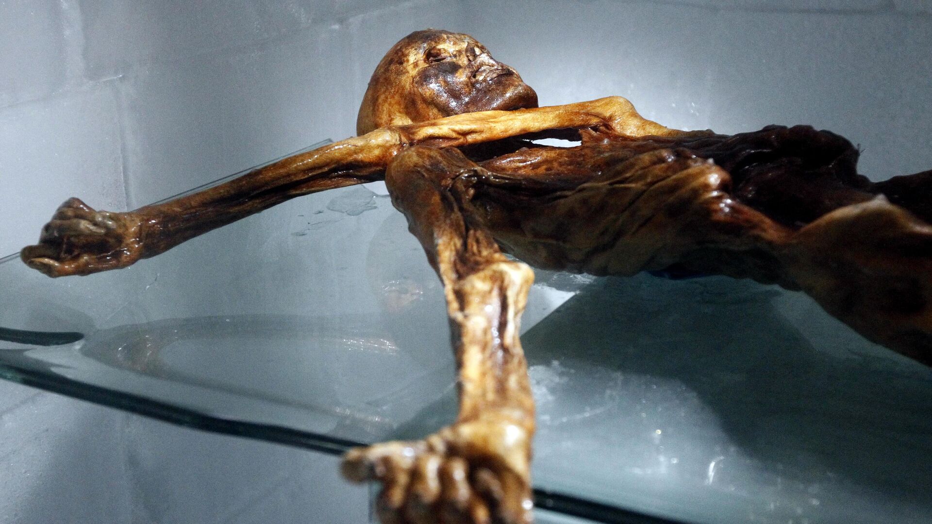 Мумия ледяного человека по имени Отци (Этци), обнаруженная в 1991 году в итальянском леднике долины Шнальшталь, которая была выставлена в Археологическом музее Больцано 28 февраля 2011 года - РИА Новости, 1920, 03.04.2024