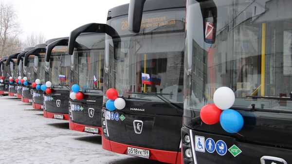 Почти 100 автобусов прибыли в Пермский край по господдержке