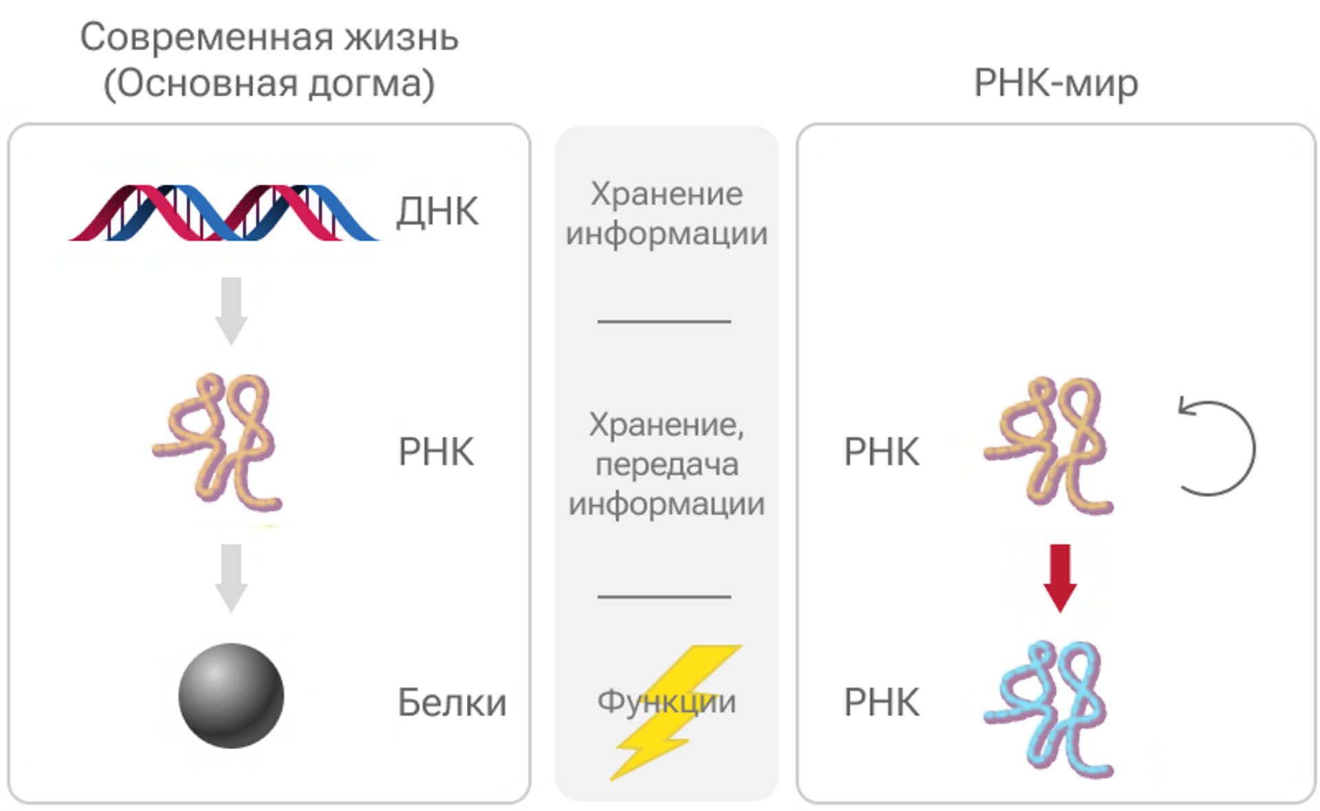 Ученые близки к разгадке тайны появления жизни. Ответ за пределами Земли -  РИА Новости, 05.04.2024