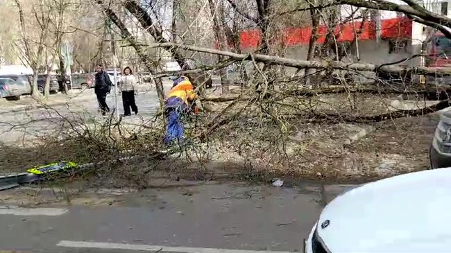 Последствия сильного ветра в Москве