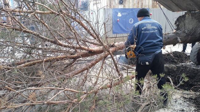 Ликвидация последствий непогоды в Москве