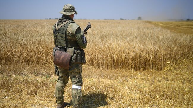 Военнослужащий ВС РФ во время сбора урожая пшеницы в Мелитопольском районе Запорожской области