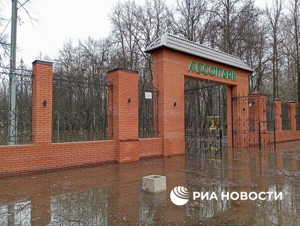 Затопленный половодьем лесопарк