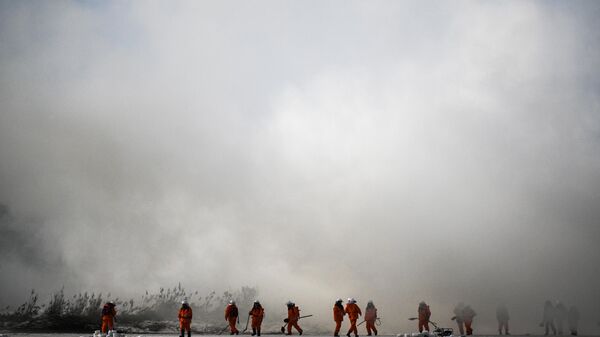 В России за сутки потушили 63 природных пожара