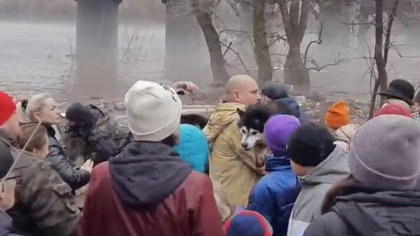 Эвакуация собак хаски из питомника в безопасную зону в Оренбурге