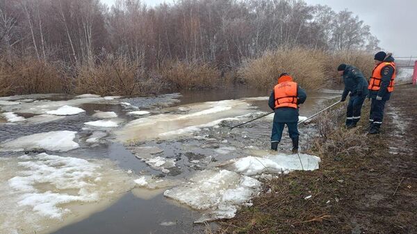 Работы по прочистке русла реки для снижения уровня паводковых вод в Челябинской области
