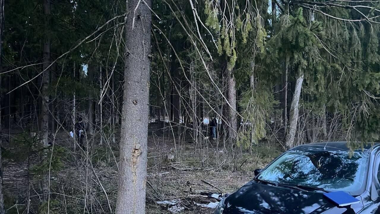 В Подмосковье напали на двух полицейских, один из них убит, заявил источник  - РИА Новости, 07.04.2024