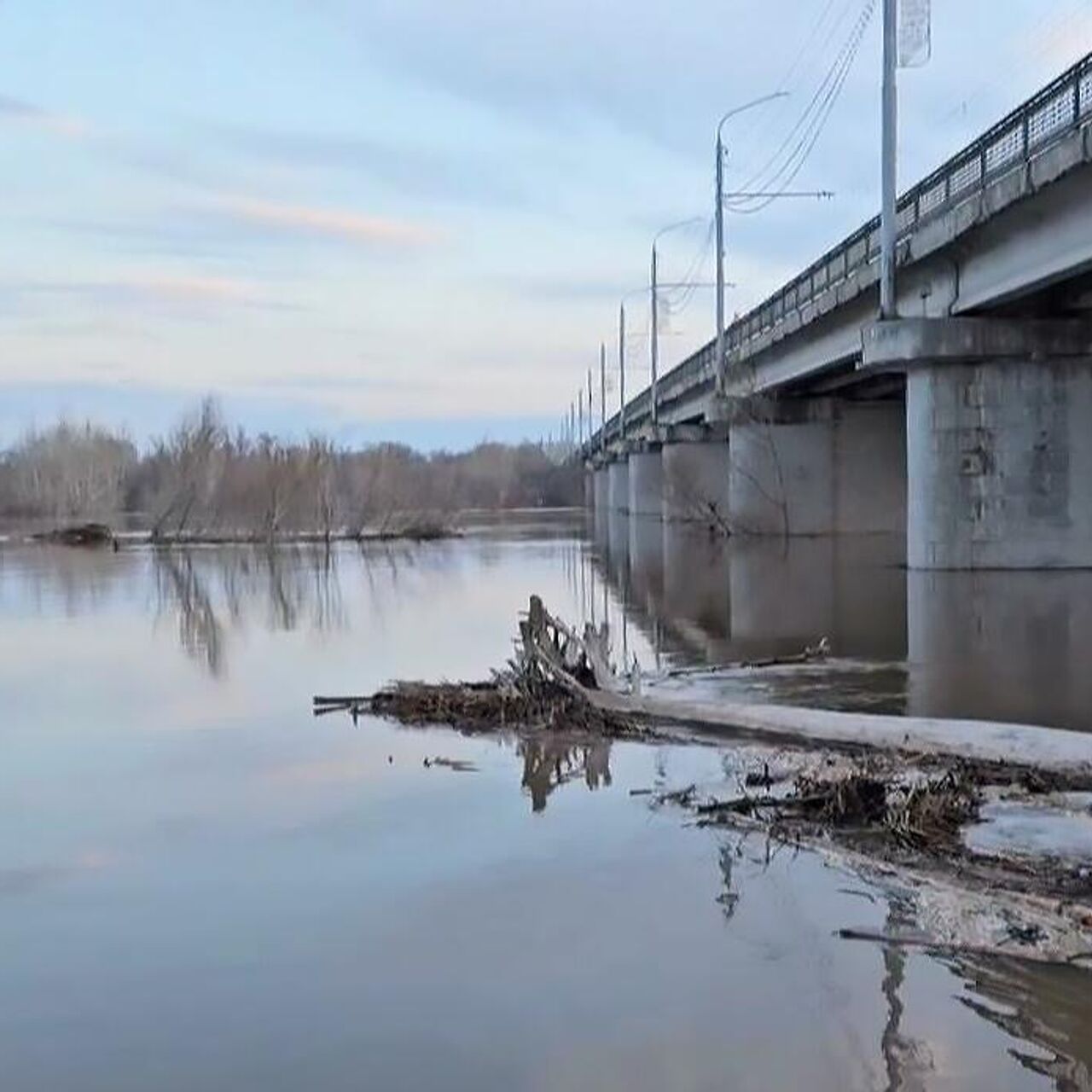 Уровень воды в реке Урал в Оренбурге за сутки вырос до 872 сантиметров -  РИА Новости, 08.04.2024