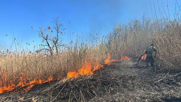 Пожарные ликвидировали открытое горение сухой растительности в Ставрополе