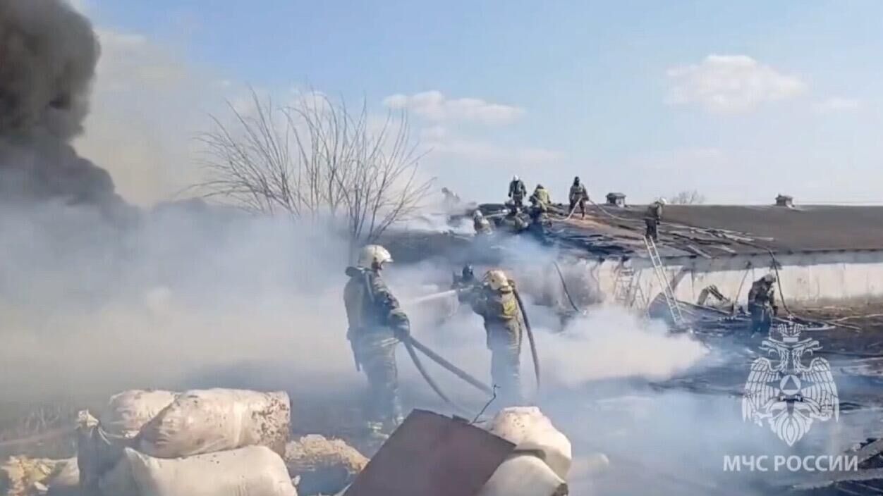 Тушение пожара в двух ангарах с сеном и пиломатериалами в Октябрьском сельском районе Ростовской области - РИА Новости, 1920, 08.04.2024