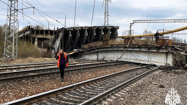 Смоленский губернатор рассказал подробности обрушения моста в Вязьме
