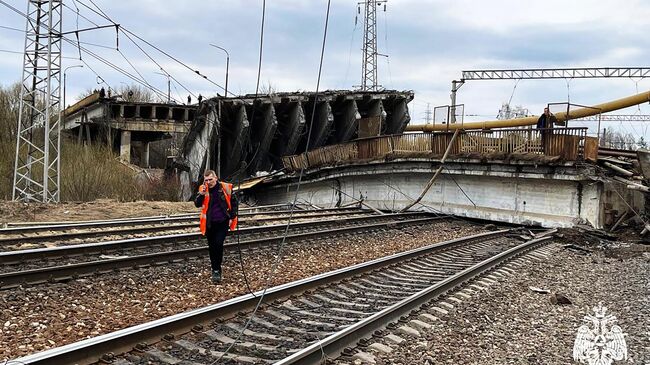 Частично обрушившийся путепровод в Смоленской области