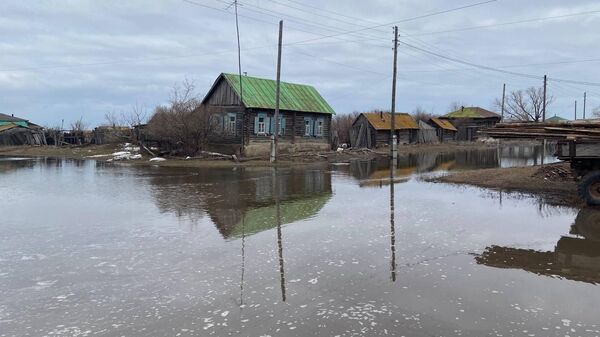 Разлив реки Тобол в Звериноголовском округе Курганской области. Архивное фото