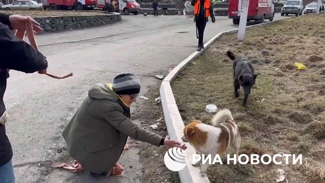 Волонтеры помогают спасать домашних животных из затопленных районов Орска