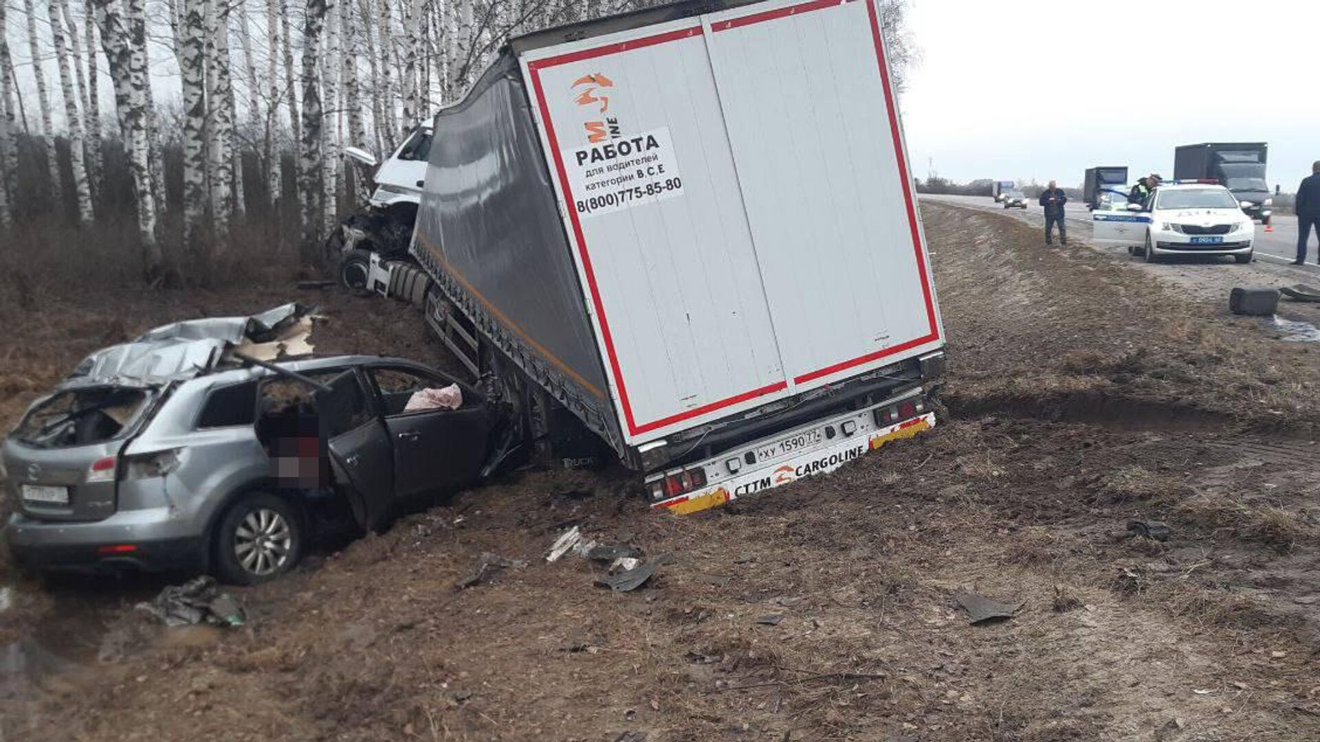 В Рязанской области шесть человек погибли в ДТП с грузовиком - РИА Новости,  09.04.2024