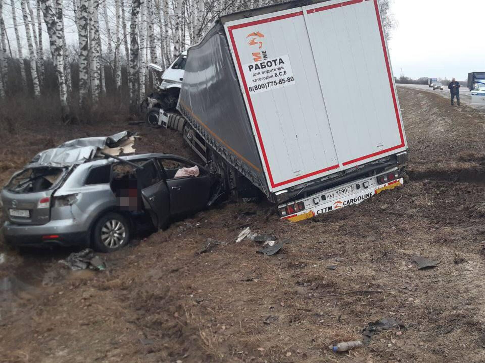 В Рязанской области шесть человек погибли в ДТП с грузовиком - РИА Новости,  09.04.2024