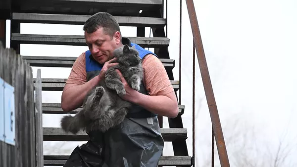 Мужчина эвакуирует кошку из затопленного дома в микрорайоне Форштадт в Оренбурге Мужчина эвакуирует кошку из затопленного дома в микрорайоне Форштадт в Оренбурге