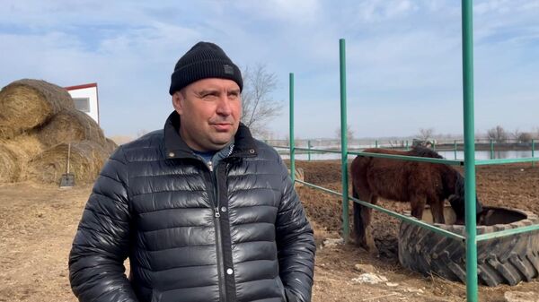 Владелец конюшни об эвакуации животных в Дзержинском районе Оренбурга