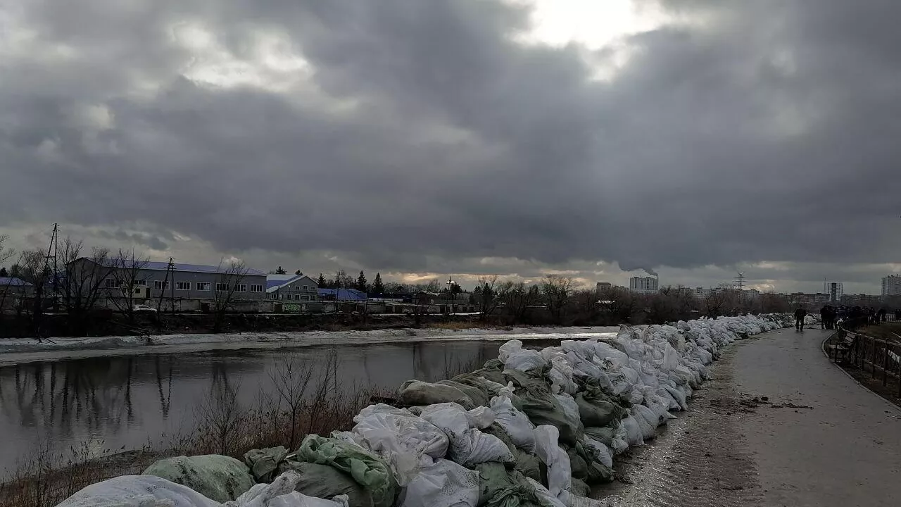 В центре Кургана мешками с песком укрепляют набережную Тобола - РИА Новости, 1920, 13.04.2024