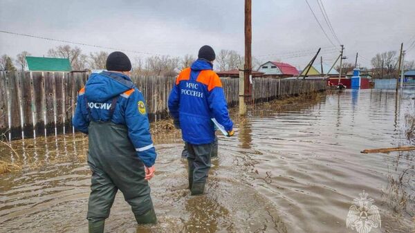 Сотрудники МЧС России в зоне подтопления в Курганской области