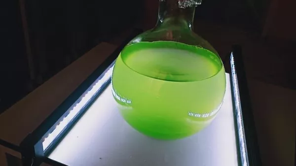 Микроводоросли рода Porphyridium, богатые полисахаридами Микроводоросли рода Porphyridium, богатые полисахаридами