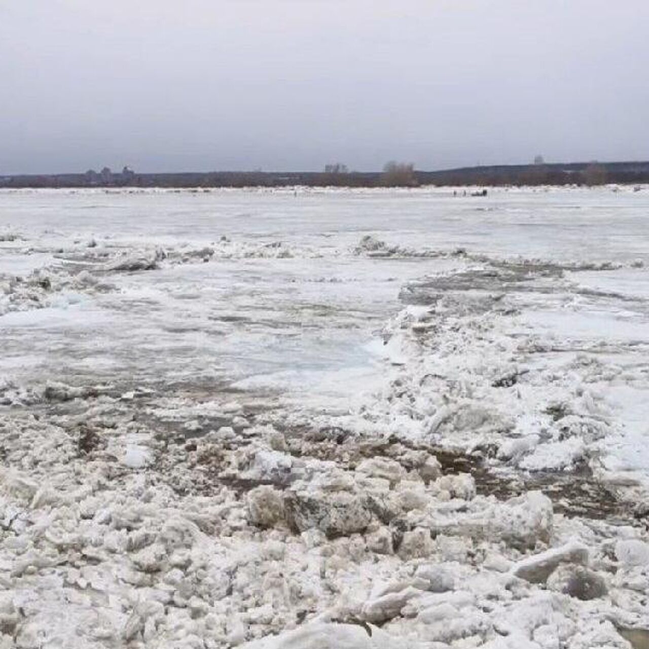 В Томске уровень воды в реке Томь приблизился к опасным отметкам - РИА  Новости, 14.04.2024