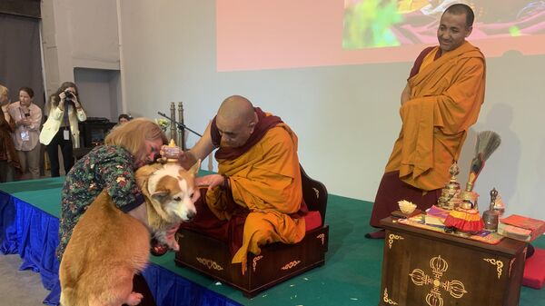 Индийские монахи благословили животных на буддийском фестивале в Москве