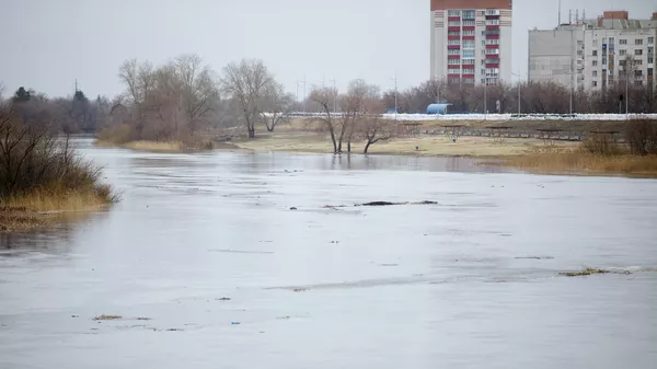 Река Тобол и подтопленный пляж Бабьи пески в Кургане Река Тобол и подтопленный пляж Бабьи пески в Кургане