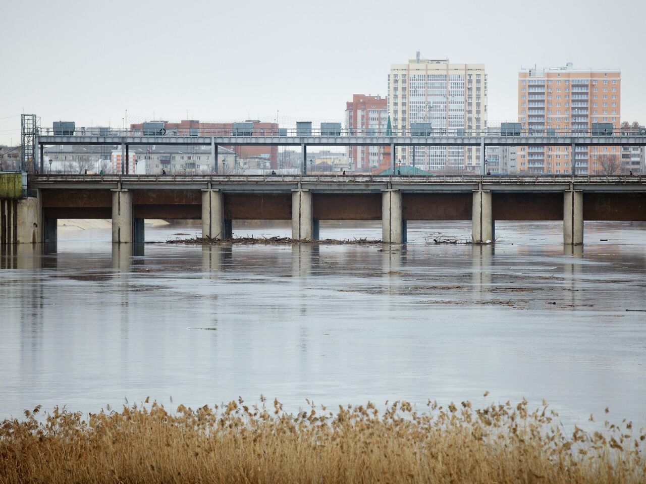 Уровень воды в реке Тобол у Кургана поднялся до 673 сантиметров - РИА  Новости, 15.04.2024