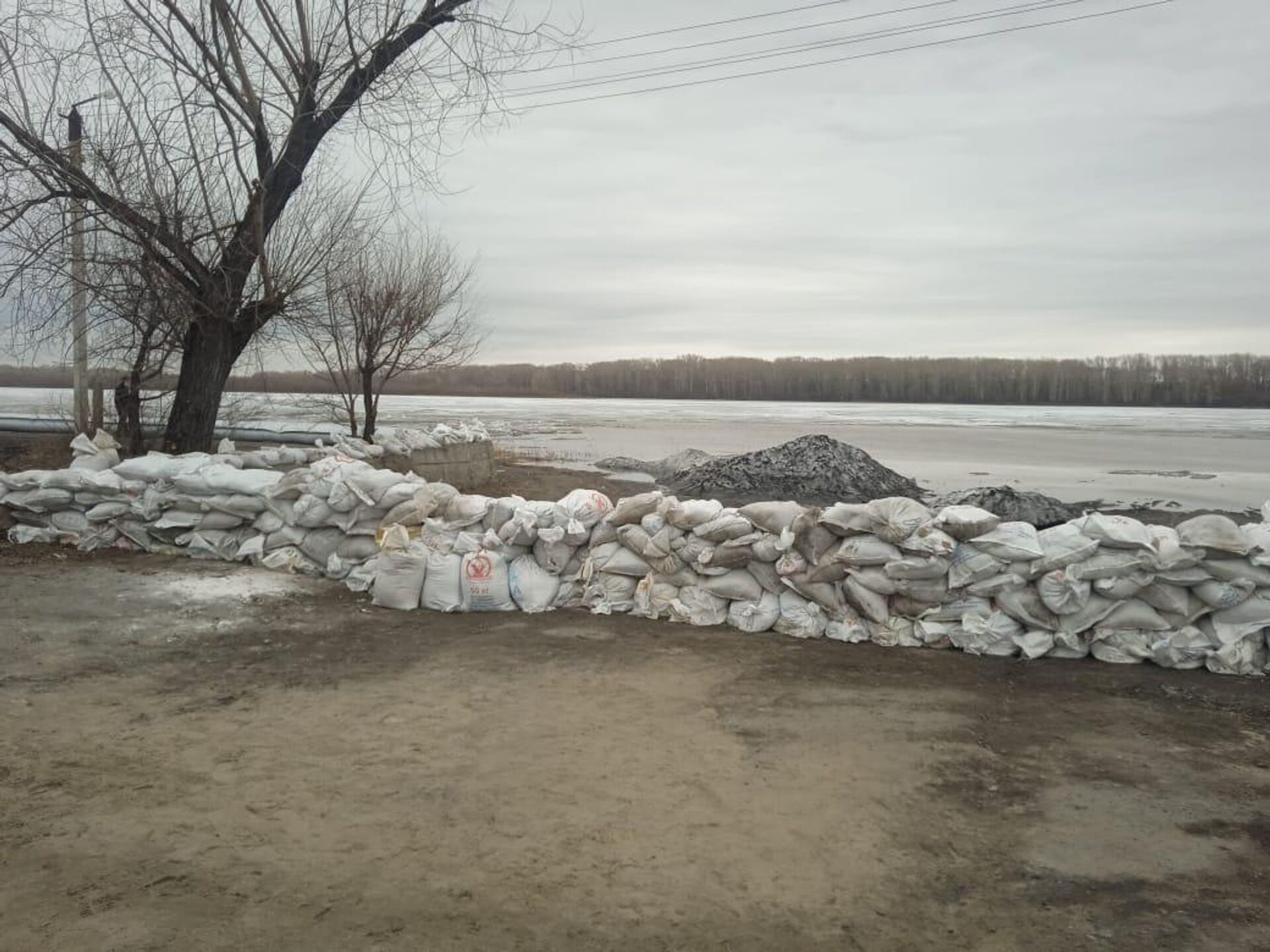 Уровень реки в Камне-на-Оби на Алтае превысил критическую отметку - РИА  Новости, 15.04.2024