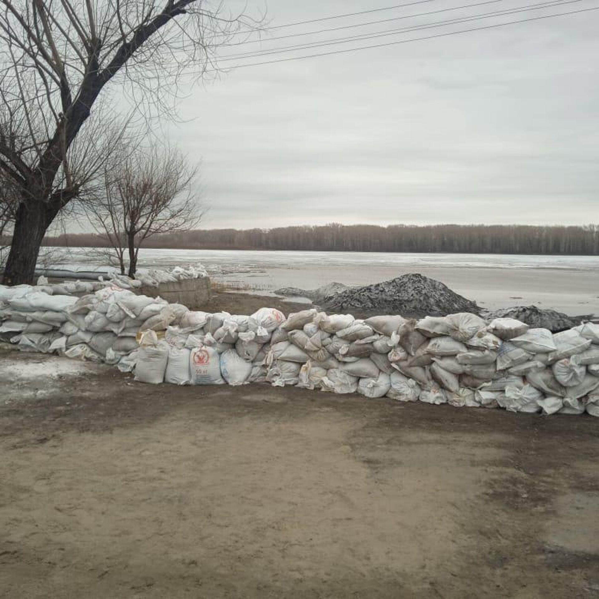 Уровень реки в Камне-на-Оби на Алтае превысил критическую отметку - РИА  Новости, 15.04.2024