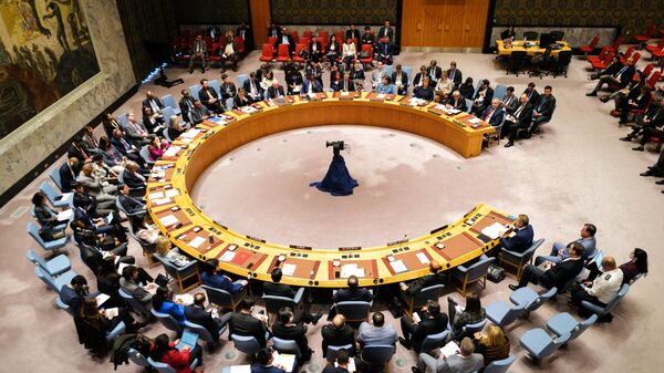 Совет Безопасности ООН проводит заседание по ситуации на Ближнем Востоке. 14 апреля 2024